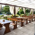 Condor 4*