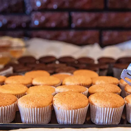 فندق Mpm Condor ساني بيتش